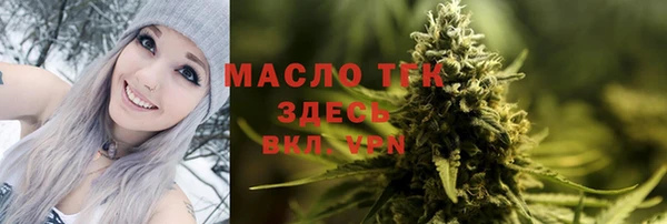 гашик Елизово